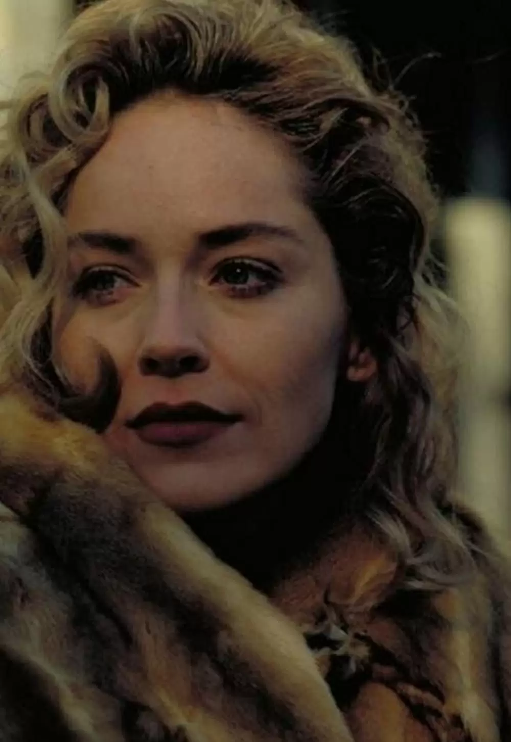 グロリアの画像