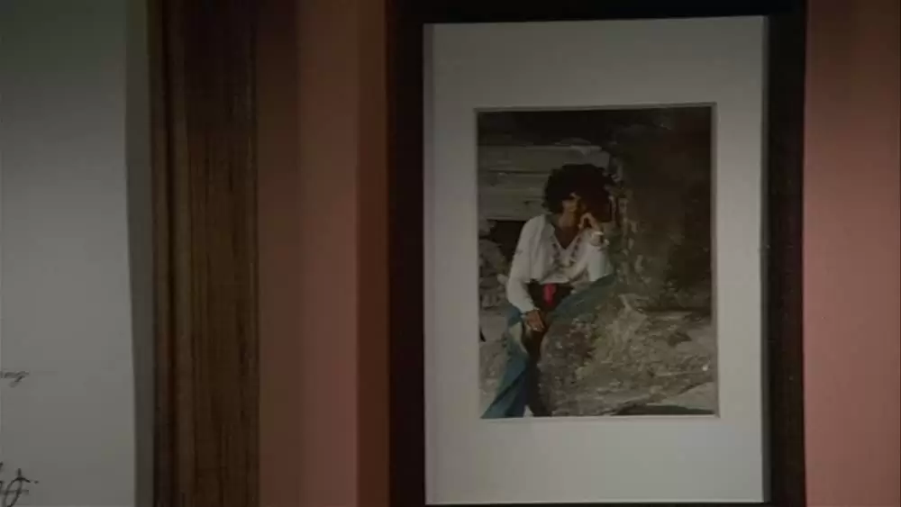 刑事ニコ／法の死角の画像