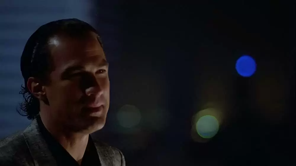 刑事ニコ／法の死角の画像