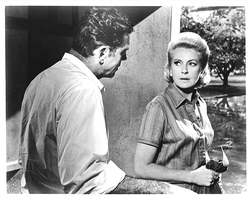 さすらいの大空の画像