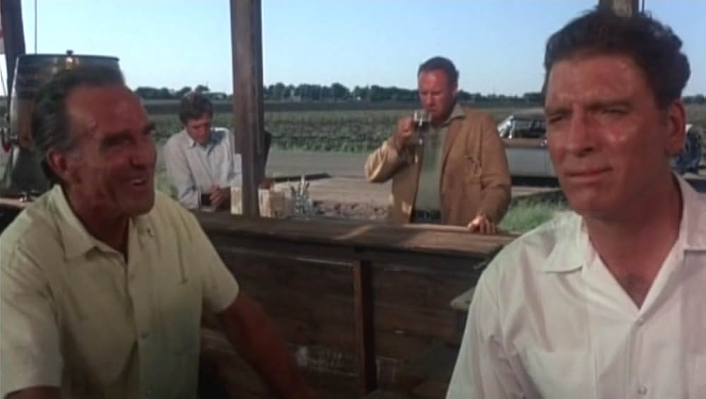 さすらいの大空の画像