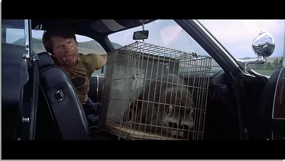 サンダーボルトの画像