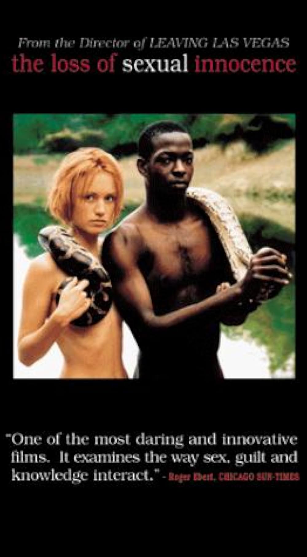 セクシュアル・イノセンスの画像