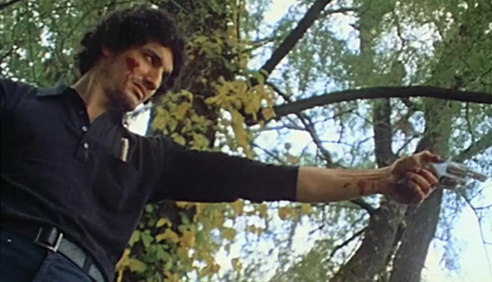 鮮血の美学の画像