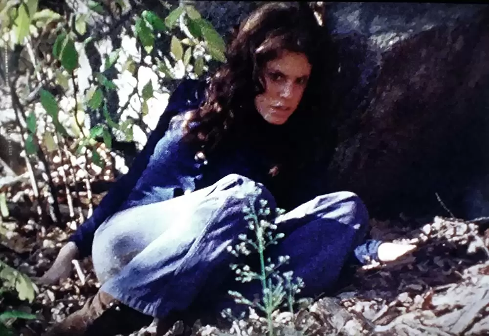 鮮血の美学の画像