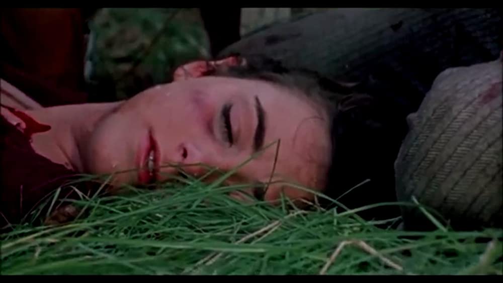 鮮血の美学の画像