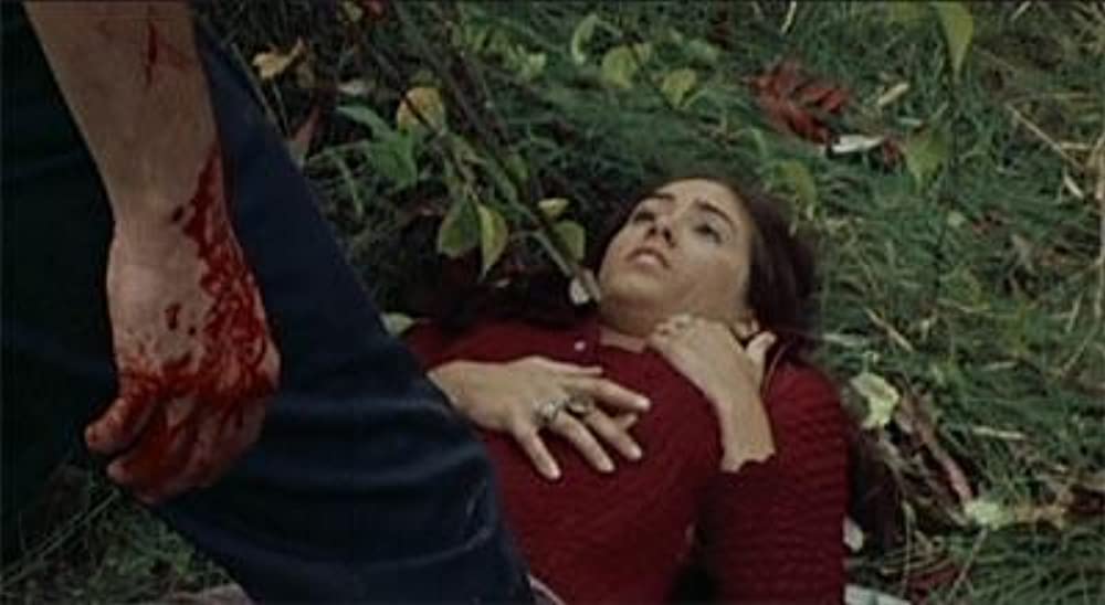 鮮血の美学の画像