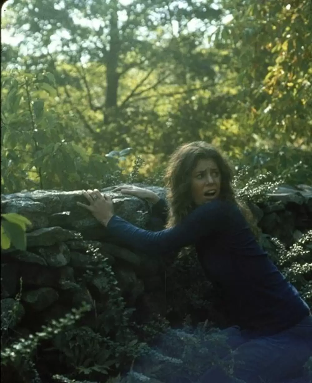 鮮血の美学の画像