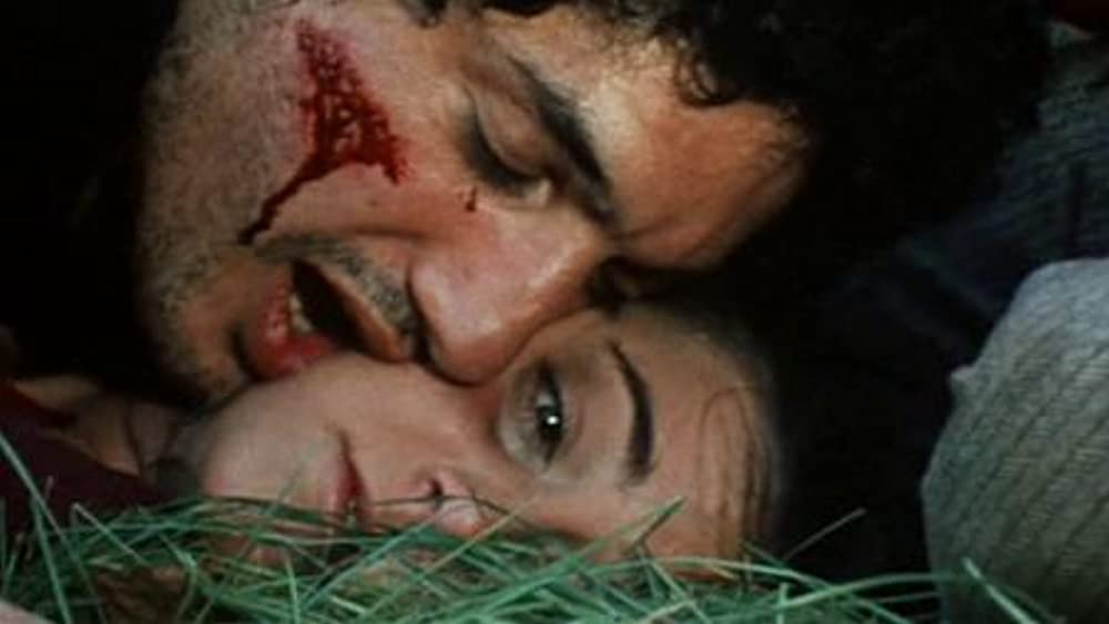 鮮血の美学の画像