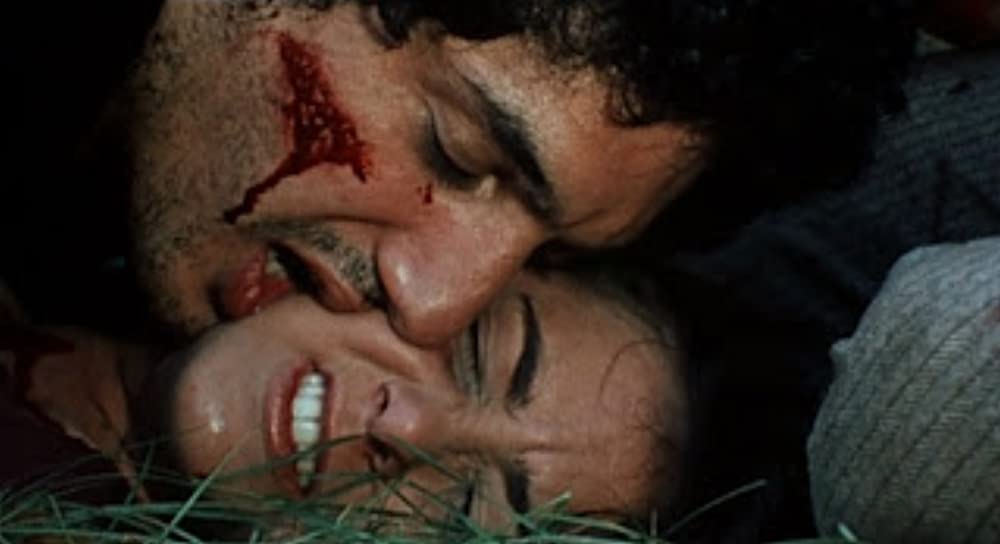 鮮血の美学の画像