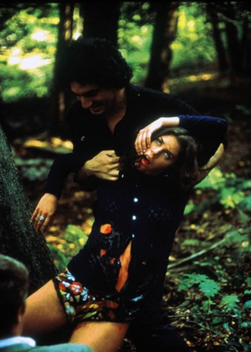 鮮血の美学の画像