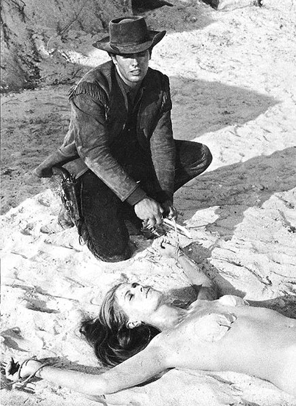 続・さすらいの一匹狼の画像