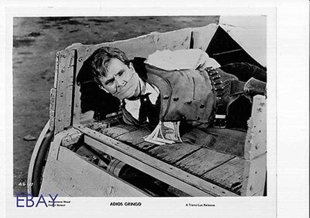 続・さすらいの一匹狼の画像