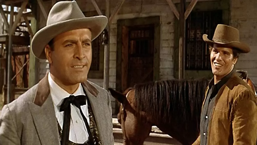 続・さすらいの一匹狼の画像