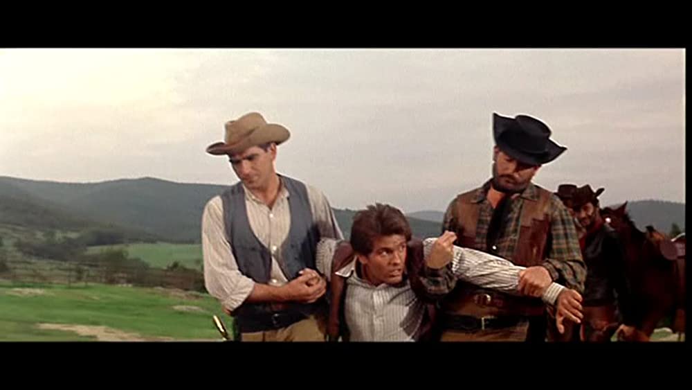 続・さすらいの一匹狼の画像