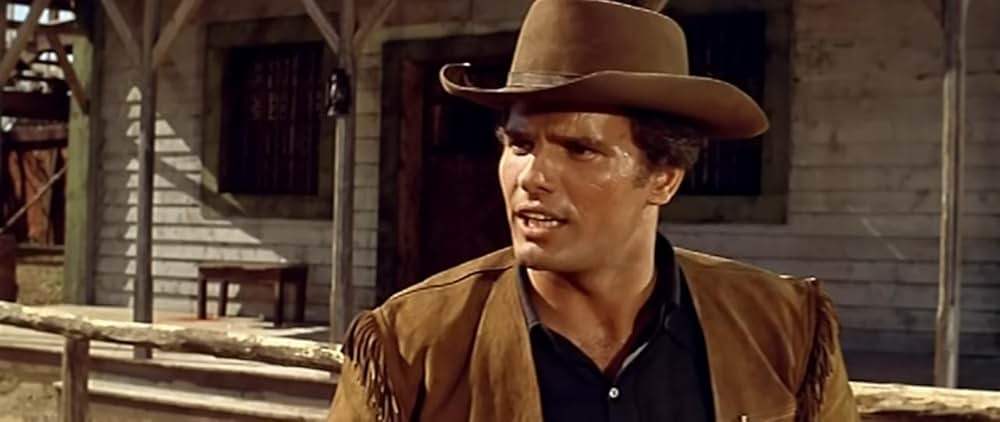 続・さすらいの一匹狼の画像