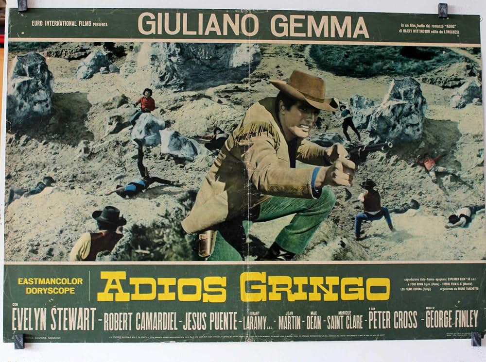 続・さすらいの一匹狼の画像