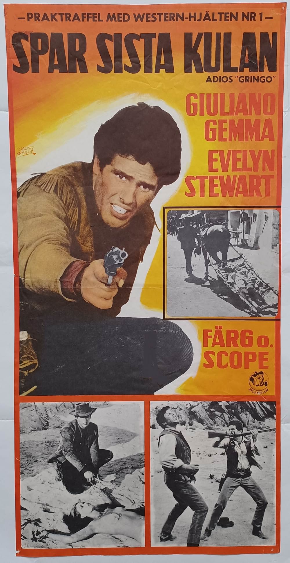 続・さすらいの一匹狼の画像