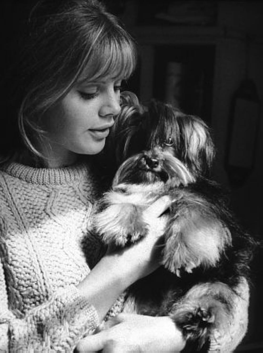 ダブルマンの画像