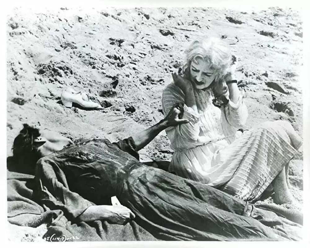 何がジェーンに起ったか?の画像