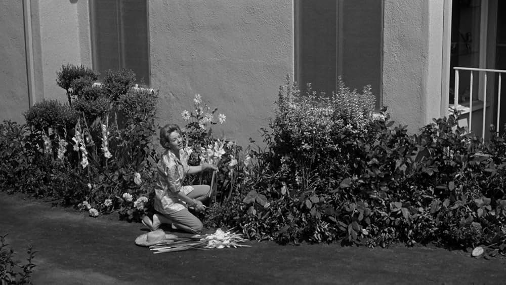 何がジェーンに起ったか?の画像