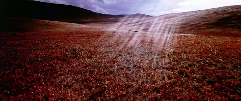 パララックス・ビューの画像