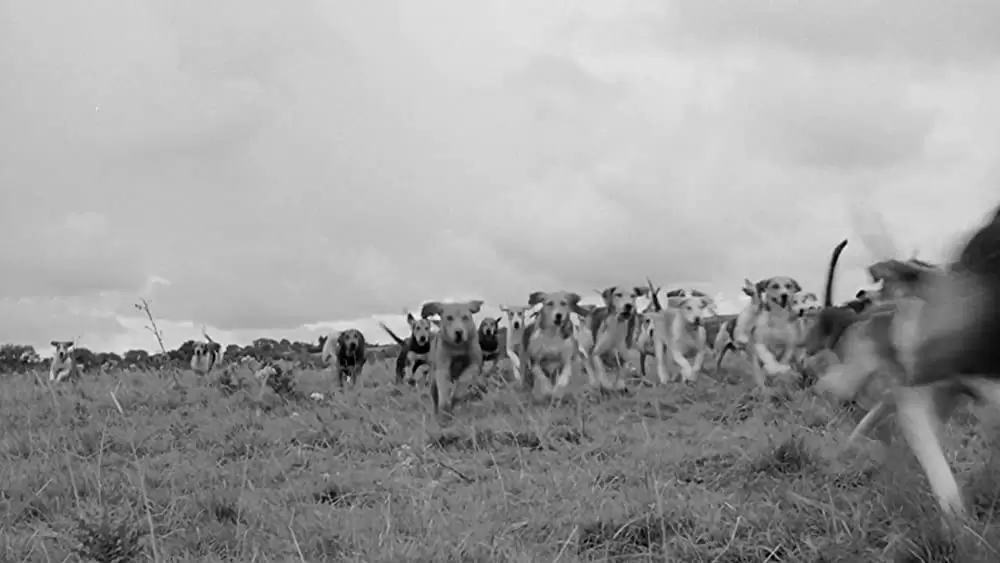 秘密殺人計画書の画像