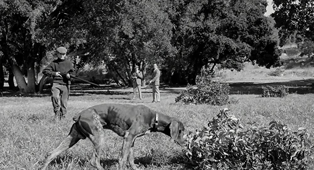 秘密殺人計画書の画像