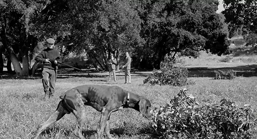 「秘密殺人計画書」カーク・ダグラス & ジョージ・C・スコット & Tony Hustonの画像