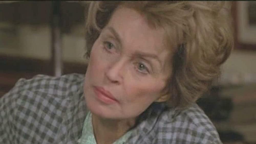 ブラジルから来た少年の画像