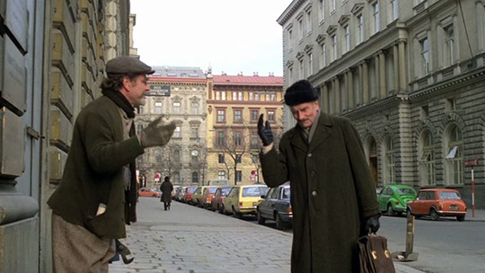 ブラジルから来た少年の画像