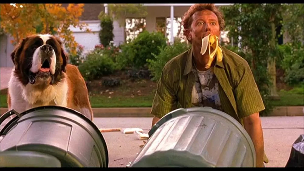 ベートーベン4の画像