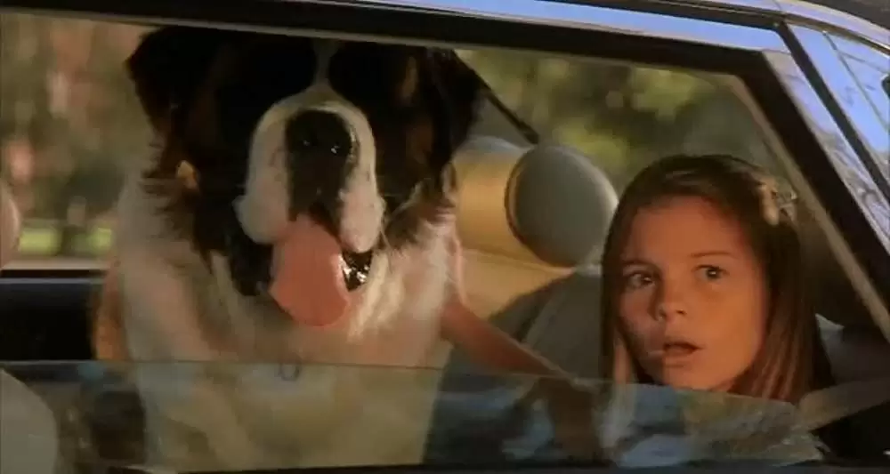 ベートーベン4の画像