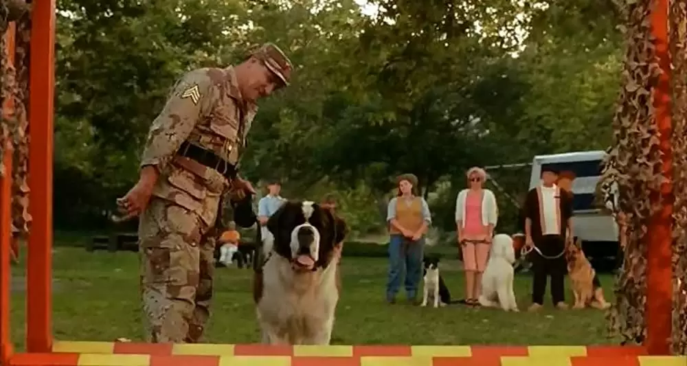 ベートーベン4の画像