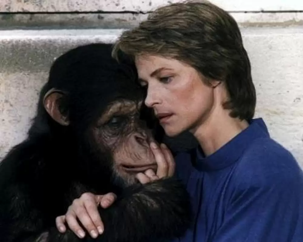 マックス、モン・アムールの画像