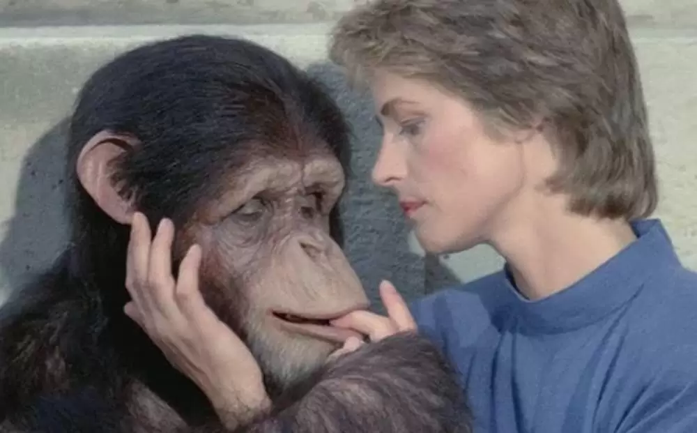 マックス、モン・アムールの画像