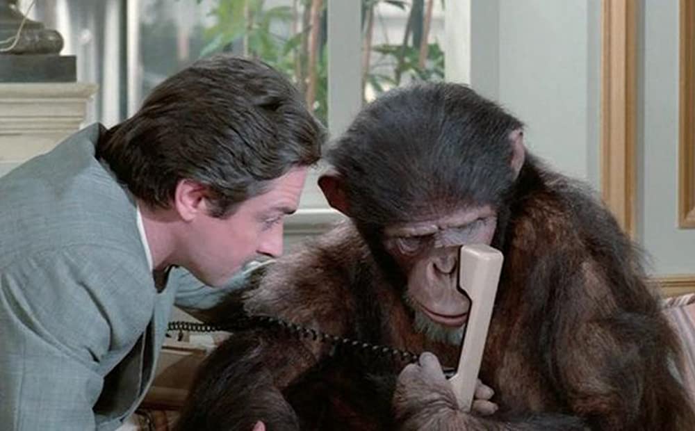 マックス、モン・アムールの画像