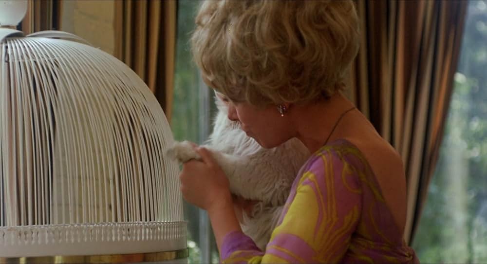 真夜中の青春の画像