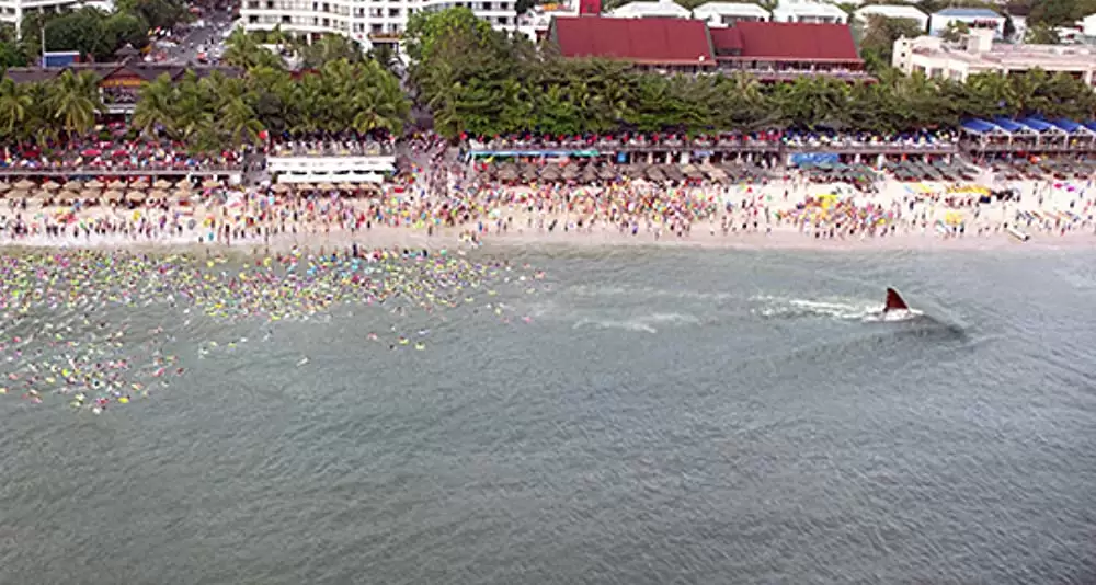 MEG ザ・モンスターの画像