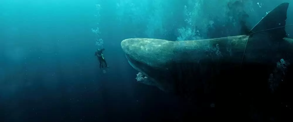 MEG ザ・モンスターの画像