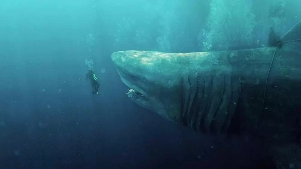 MEG ザ・モンスターの画像