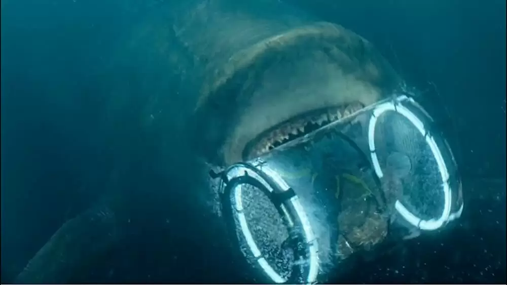 MEG ザ・モンスターの画像