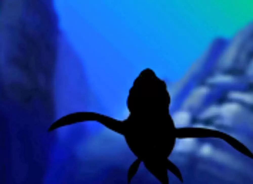 リトルフット 海への大冒険の画像