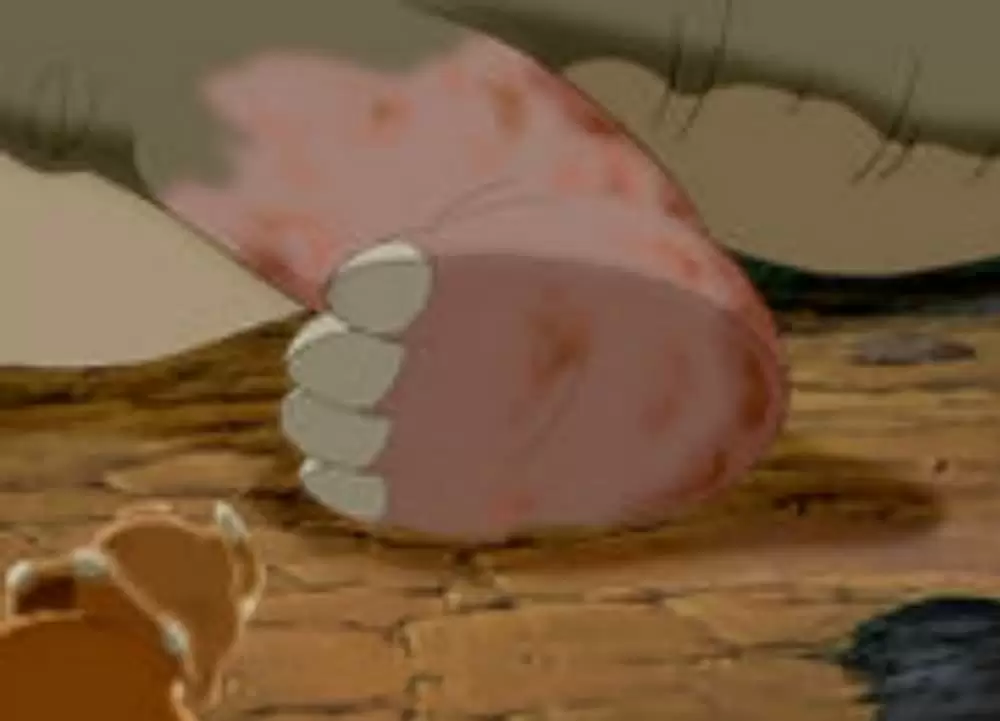 「リトルフット ベスト・オブ・フレンズ」ジェームズ・ガーナー & Anndi McAfeeの画像