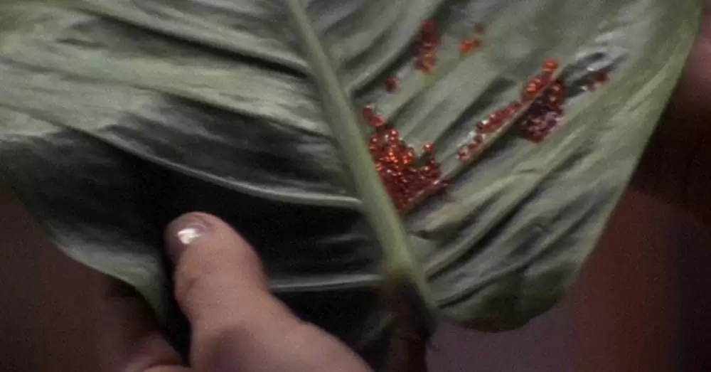 レリックの画像