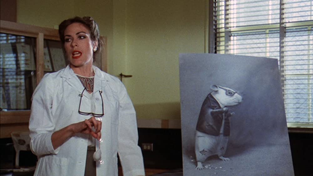 ロックンロール・ハイスクールの画像