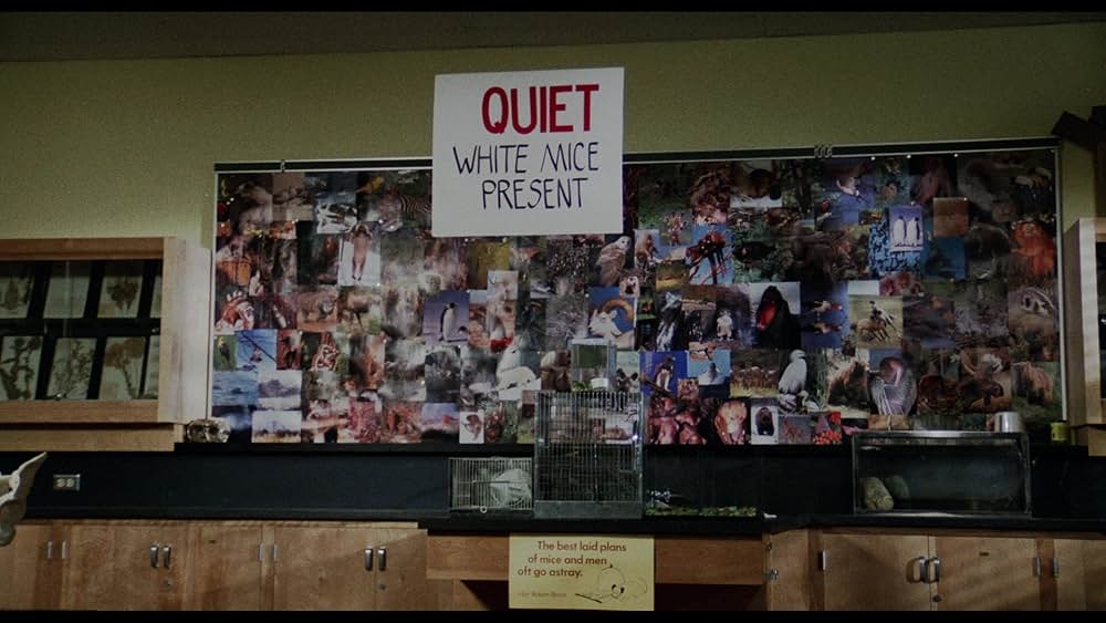 ロックンロール・ハイスクールの画像