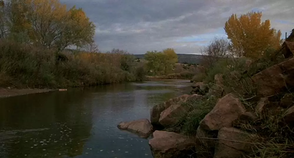 若き勇者たちの画像