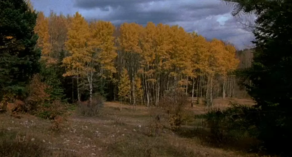 若き勇者たちの画像