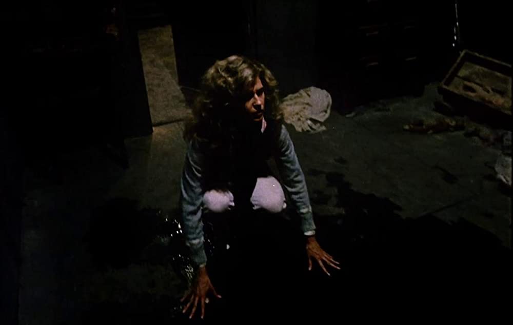 サランドラ IIの画像